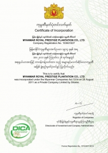 viber image1